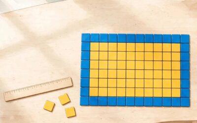 Grade 3 Area and Perimeter: Practice With Rectangles